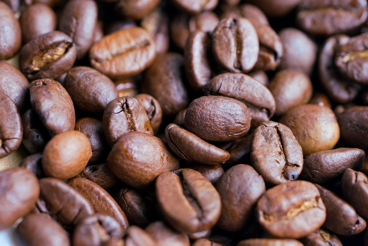 Wild Springs Farm Tours