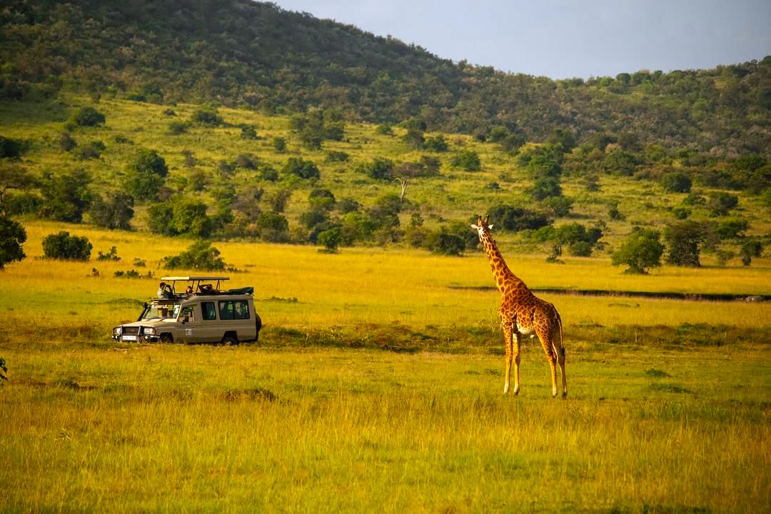 7-Day Kenya Safari: Masai Mara, Amboseli, Lake Nakuru, Naivasha & Hell’s Gate