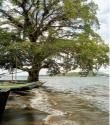 6 Days 5 Nights Kisumu Safari Experience