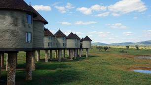 Experience The Thrilling Tsavo East & West National Park Safari