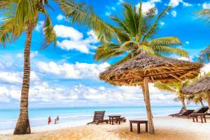 9 Days 8 Nights Safari And Beach Experience