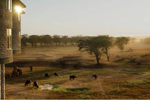 Experience The Thrilling Tsavo East & West National Park Safari