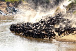 9 Days 8 Nights Safari And Beach Experience