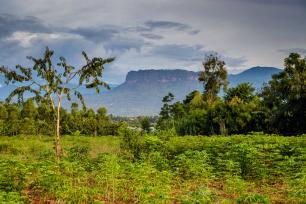 Mount Elgon Climb From Kenya/Trek Mt Elgon Chorlim Gate